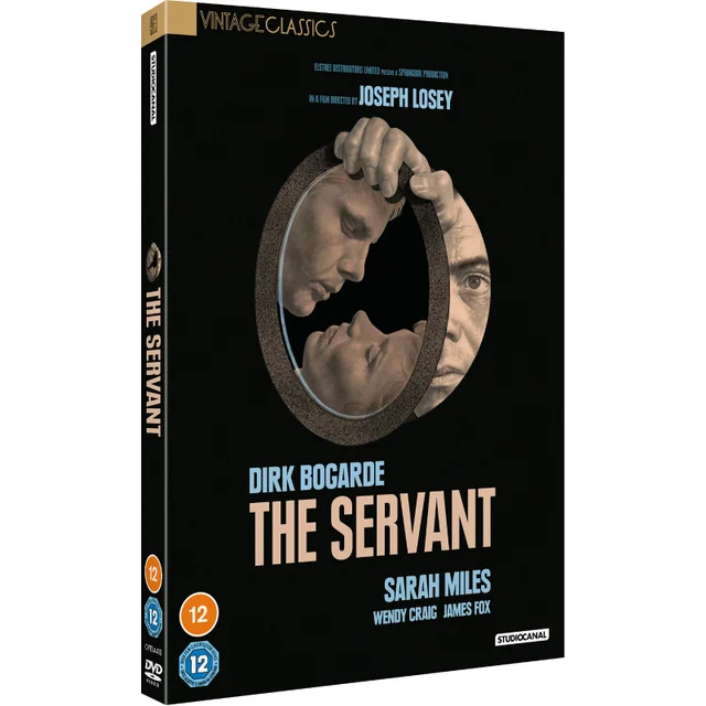 The Servant (Vintage Classics)