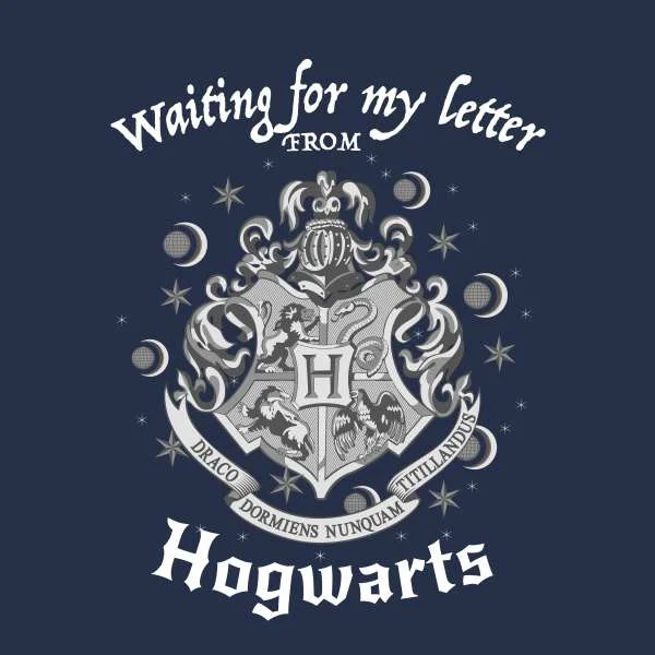 Harry Potter Waiting For My Letter From Hogwarts Hoodie - Navy
