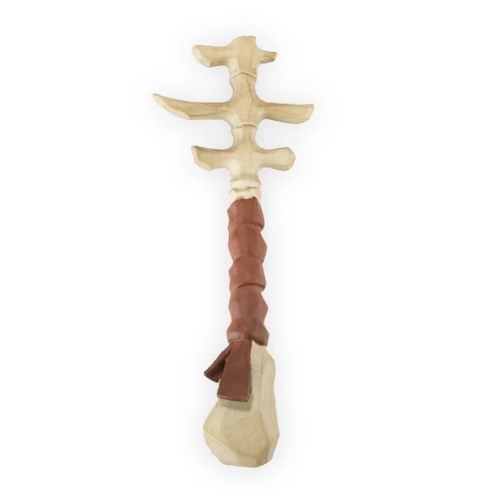 DUST! Sea of Thieves Skeleton Key - Rare Store Exclusive Image 1