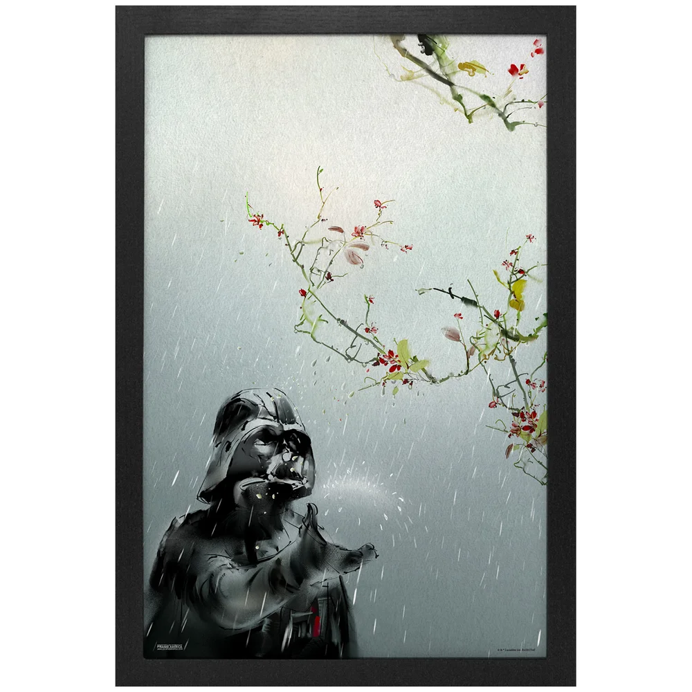 Star Wars Seasons Spring Vader Framed Art Print Image 1