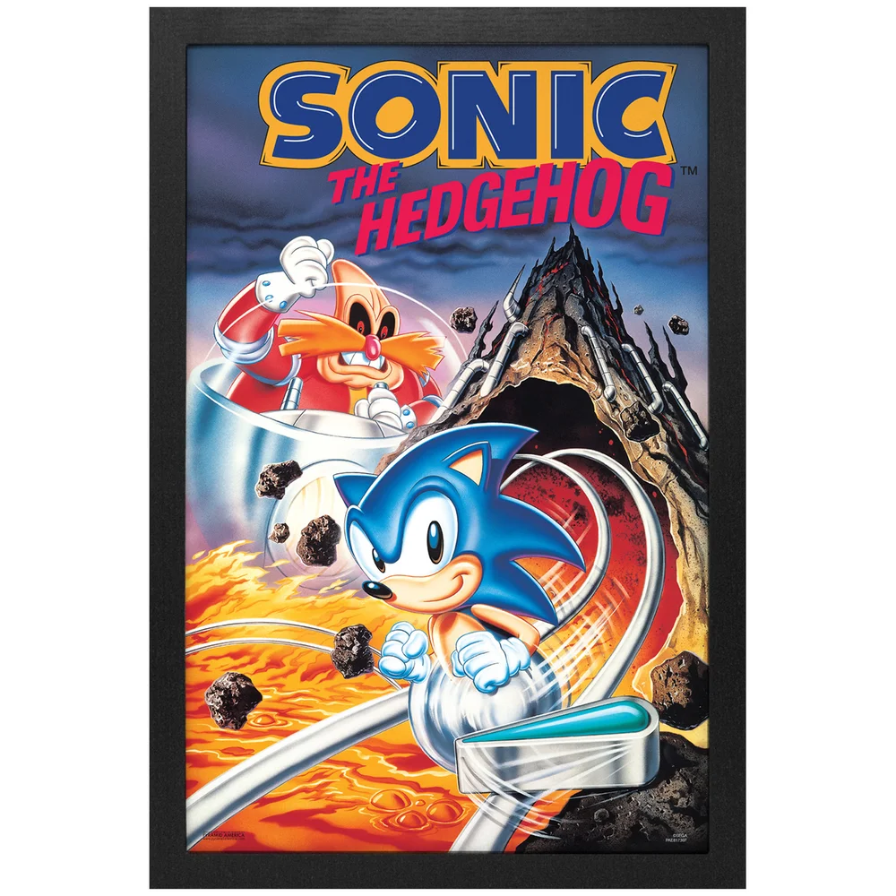 Sonic the Hedgehog Pinball Framed Art Print Image 1