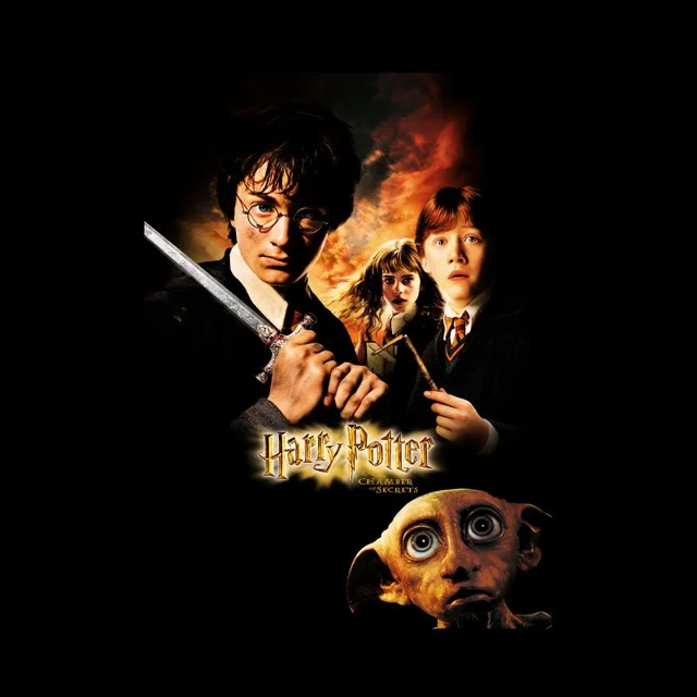 Harry Potter Chamber Of Secrets Unisex T-Shirt - Black