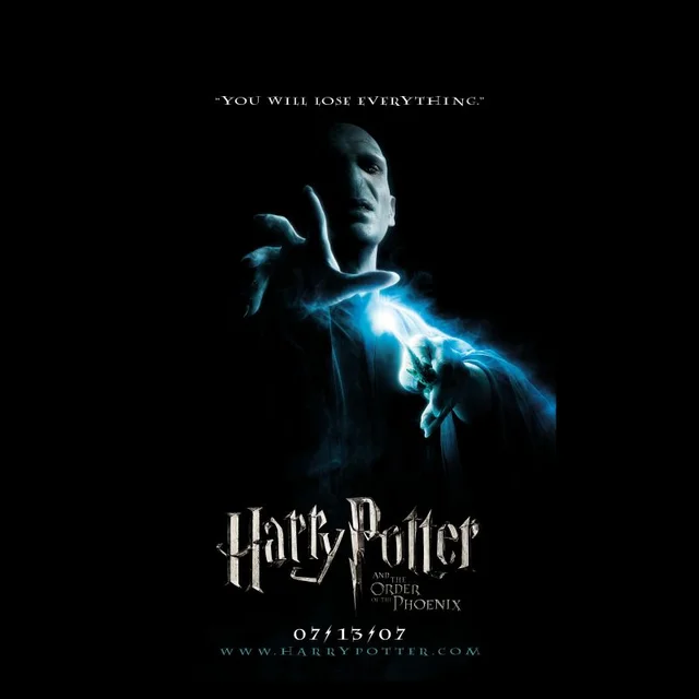 Harry Potter Order Of The Phoenix Unisex T-Shirt - Black