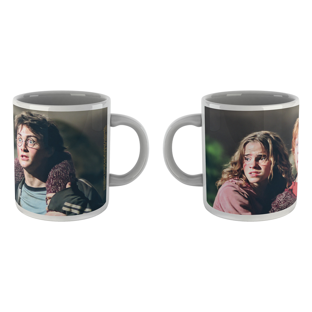 Harry Potter Hermione Ron And Harry Mug Image 1