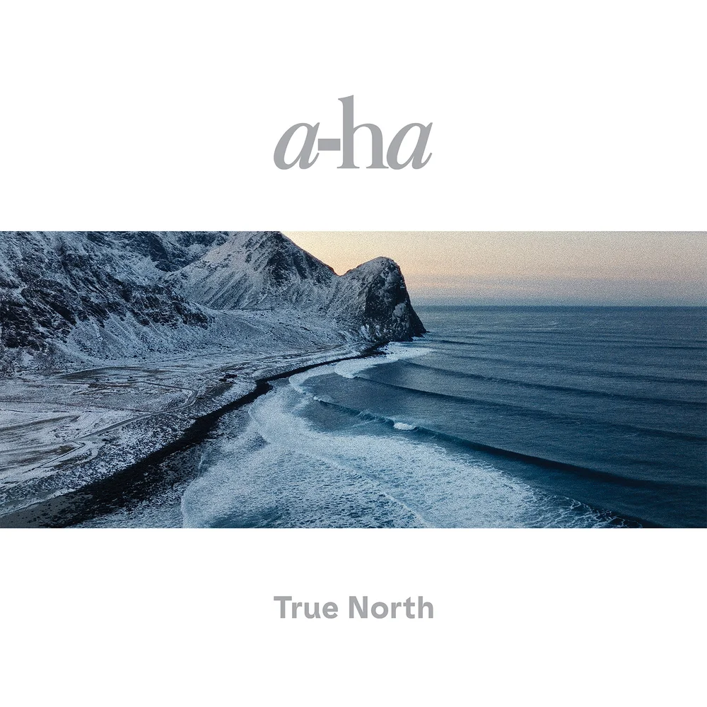 a-ha - True North Vinyl Image 1