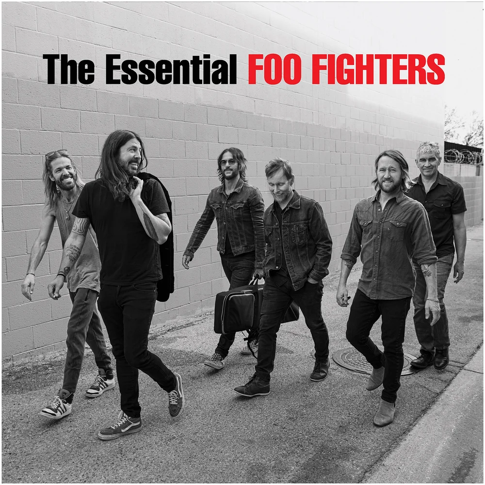 Foo Fighters - The Essential Foo Fighters Vinyl 2LP Image 1