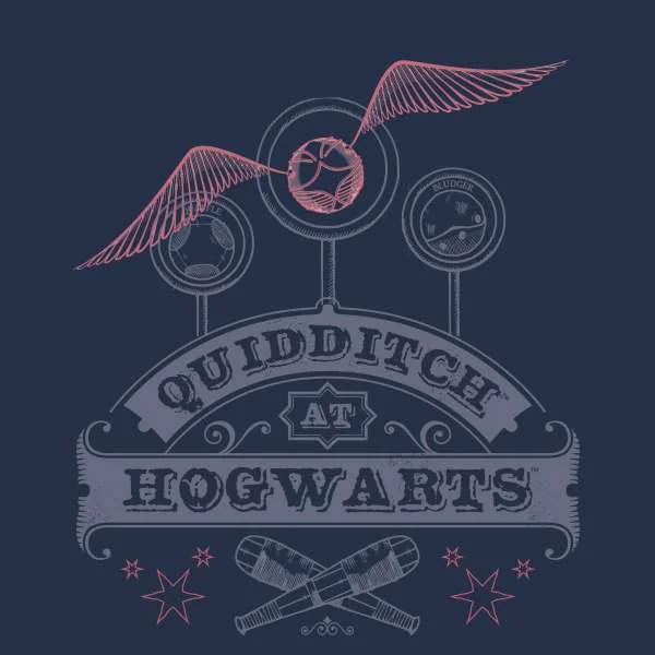 Harry Potter Quidditch At Hogwarts Hoodie - Navy