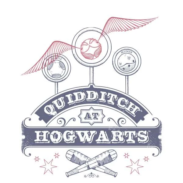 Harry Potter Quidditch At Hogwarts Hoodie - White