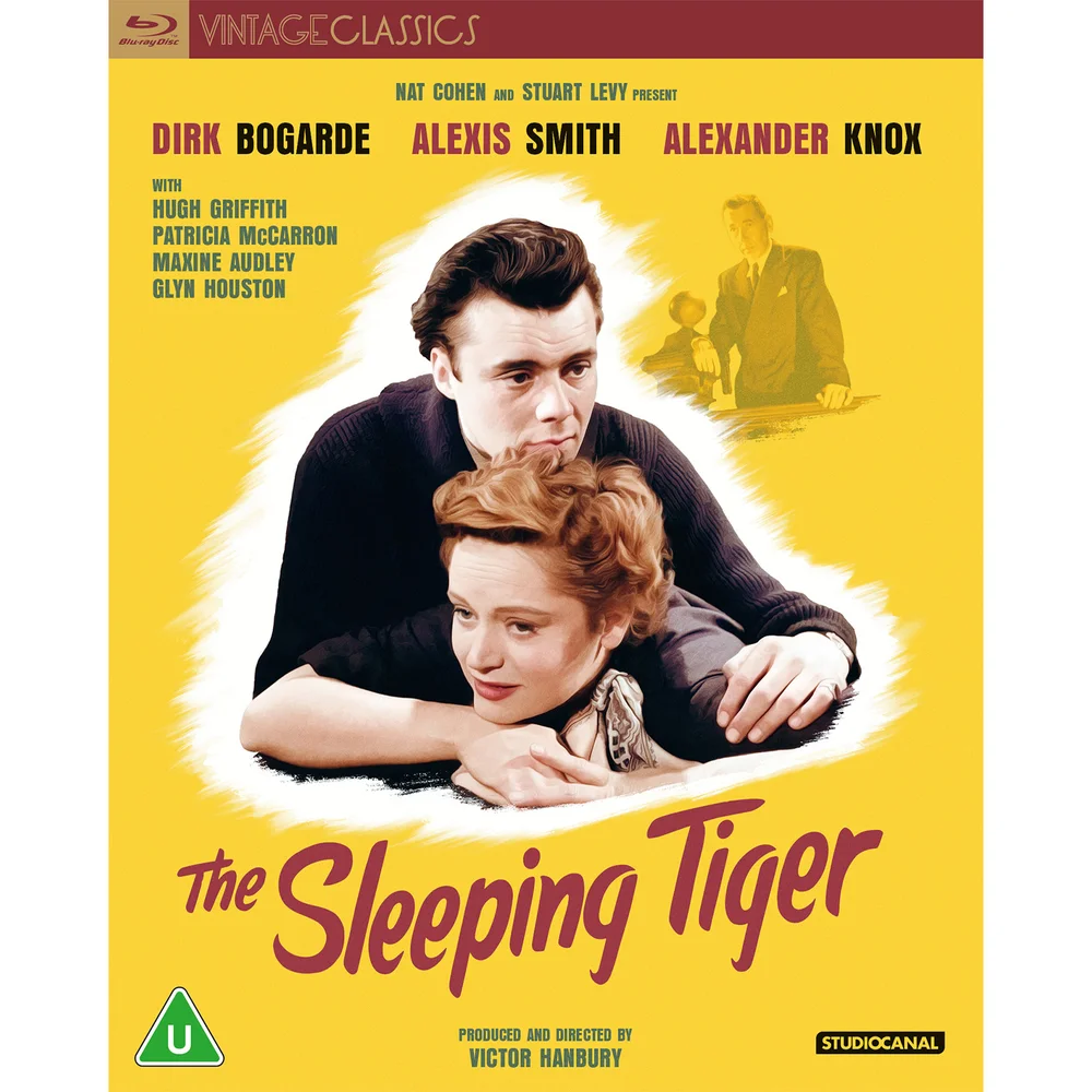 The Sleeping Tiger (Vintage Classics) Image 1