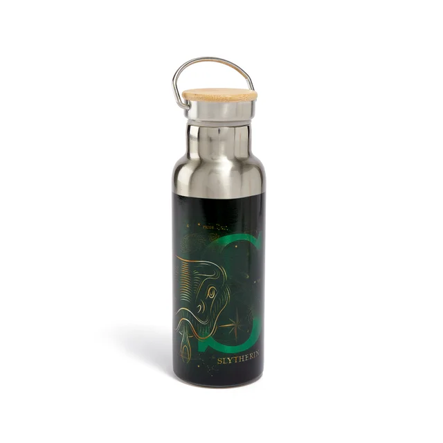 Akedo x Harry Potter Houses Slytherin Water Bottle
