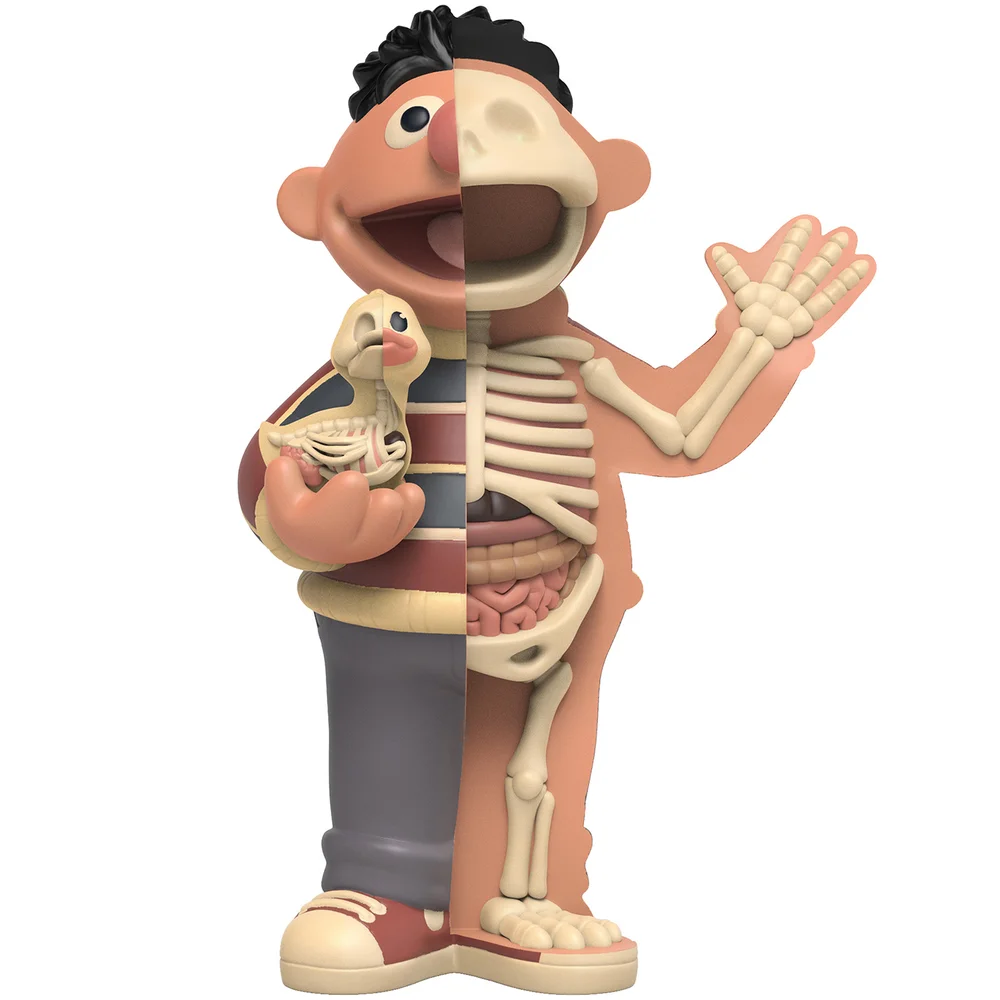 XXRAY Plus 8.5'' Ernie Retro Edition Image 1