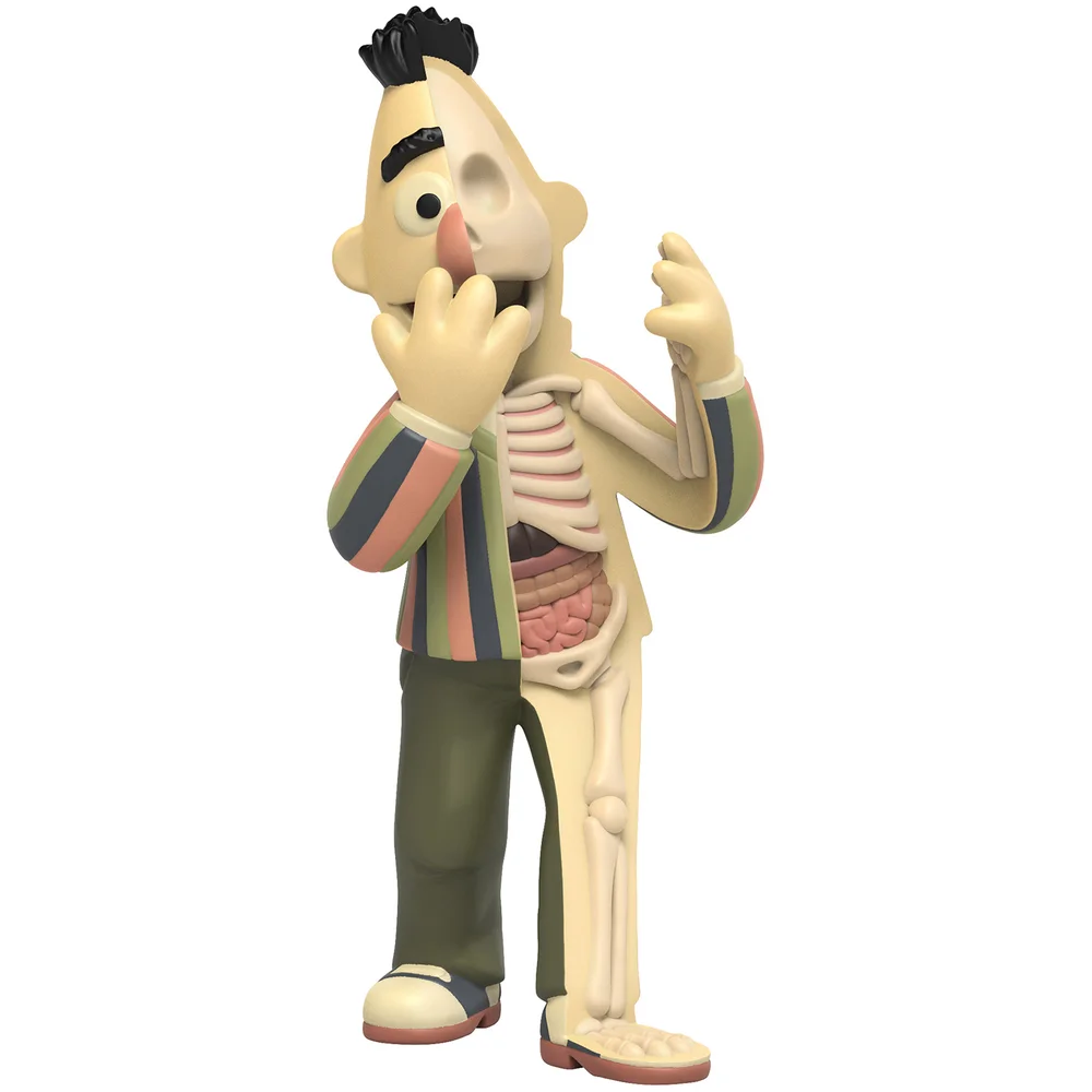 XXRAY Plus 9'' Bert Retro Edition Image 1