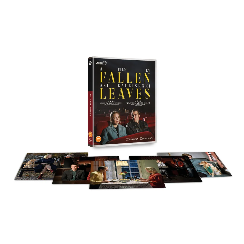 Fallen Leaves Image 1