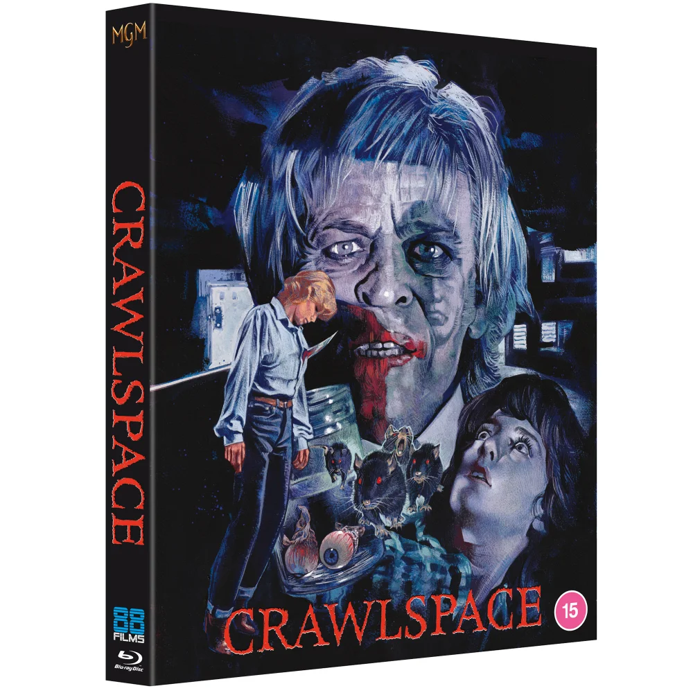 Crawlspace Image 1