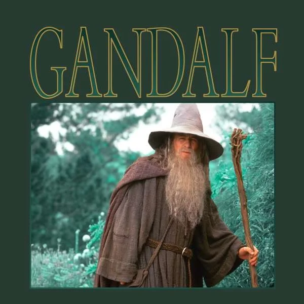 Lord Of The Rings LOTR Gandalf Unisex T-Shirt - Green