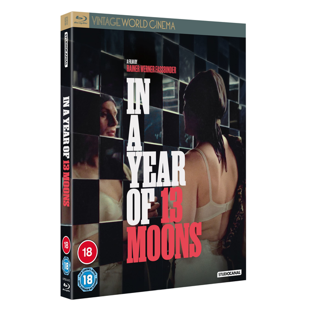 IN A YEAR OF 13 MOONS (VINTAGE WORLD CINEMA)