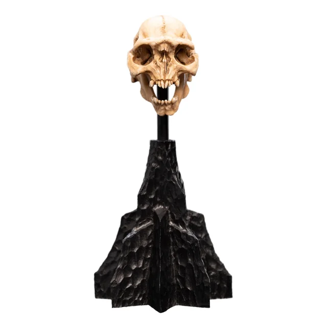 Weta Workshop Lord of the Rings Mini Statue Skull of a Moria Orc 13cm