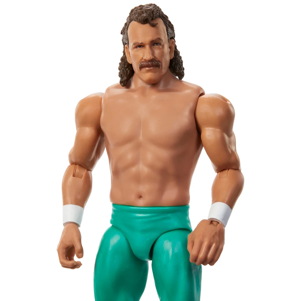 WWE Main Event Series 154 Jake Roberts Action Figure (6"") Image 1