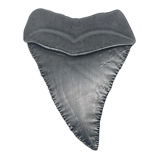 Jaws 50th Anniversary Shark Tooth Medallion