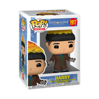 Home Alone 2 Harry Funko Pop Vinyl