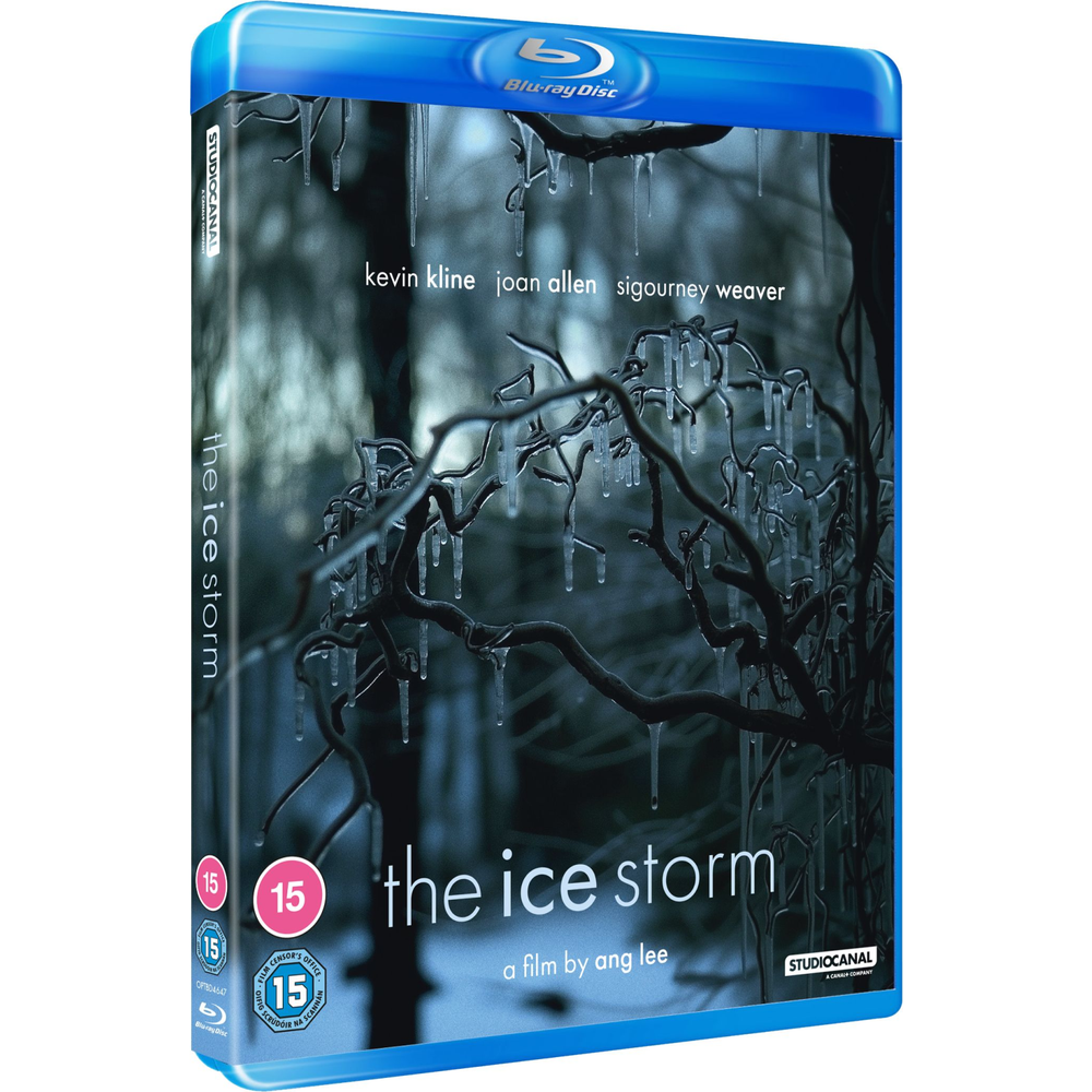 The Ice Storm Image 1