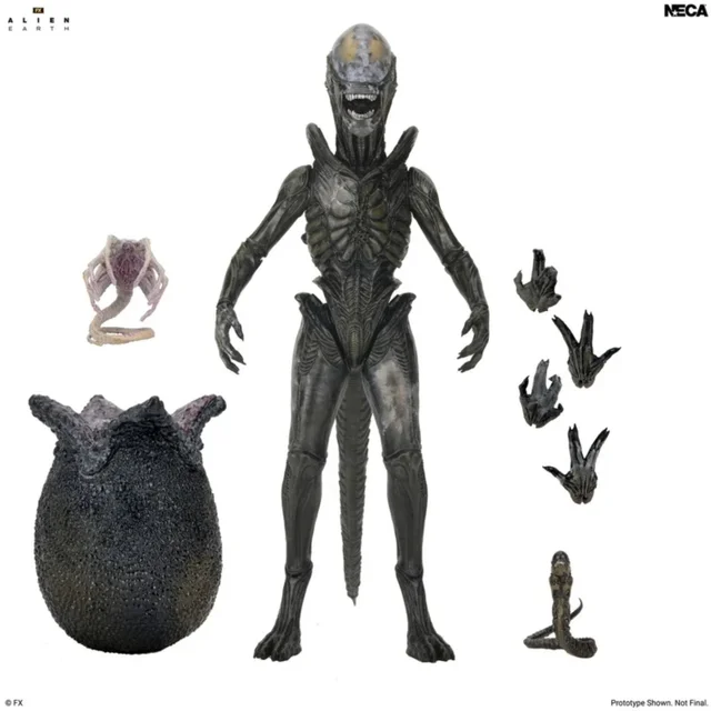 ALIEN: EARTH WENDY'S XENOMORPH ULTIMATE 7 INCH SCALE ACTION FIGURE