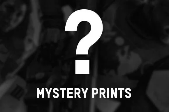 5 MYSTERY PRINTS!